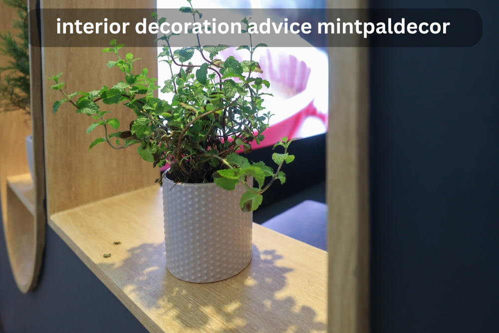 interior decoration advice mintpaldecor