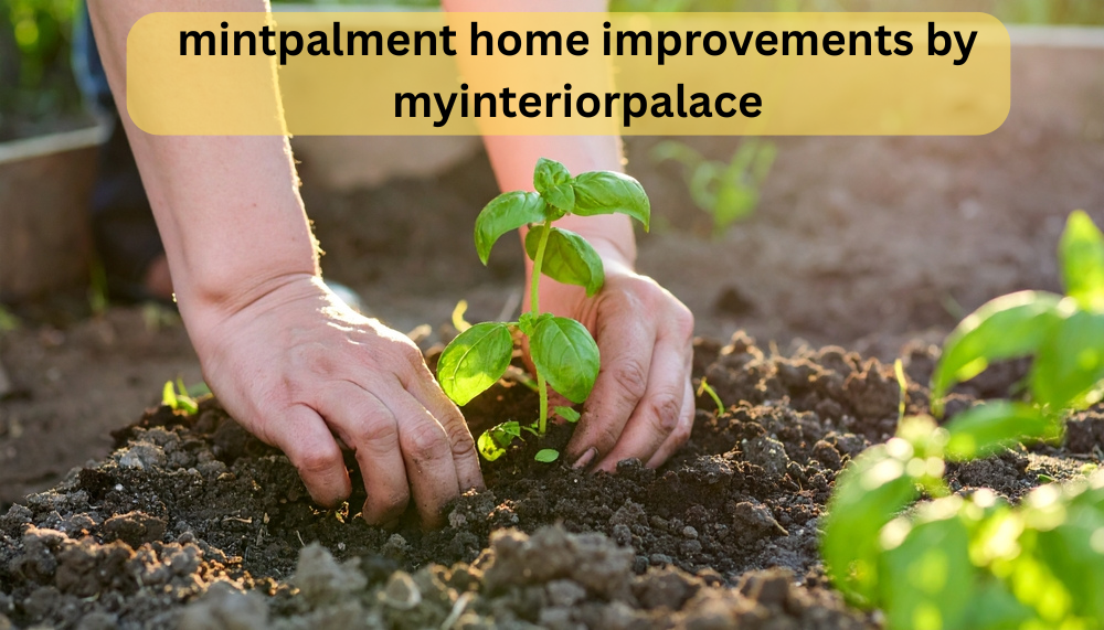 mintpalment home improvements by myinteriorpalace