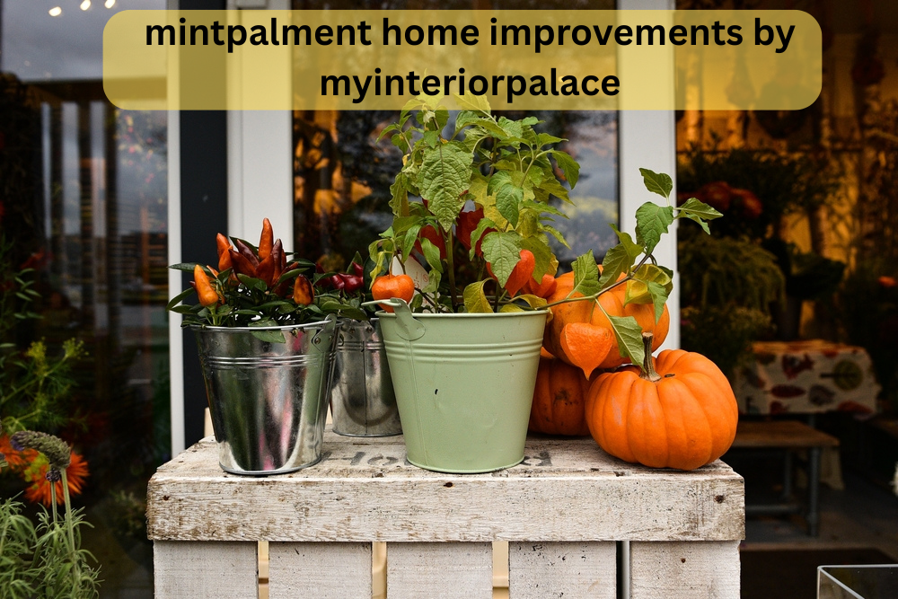 mintpalment home improvements by myinteriorpalace