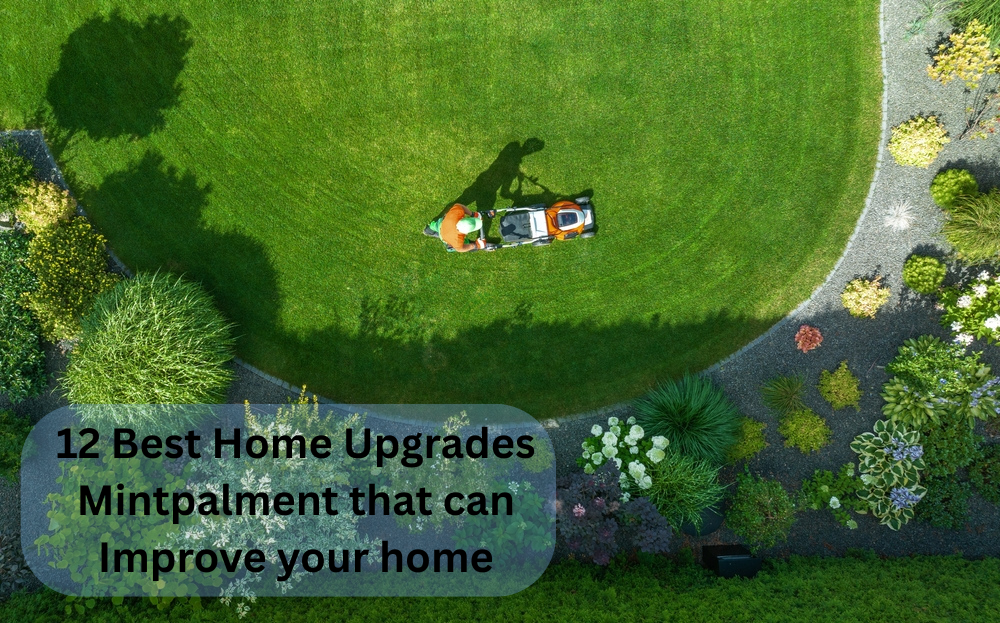 12 Best Home Upgrades Mintpalment that can Improve your home