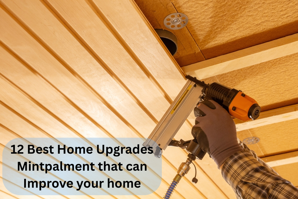 12 Best Home Upgrades Mintpalment that can Improve your home