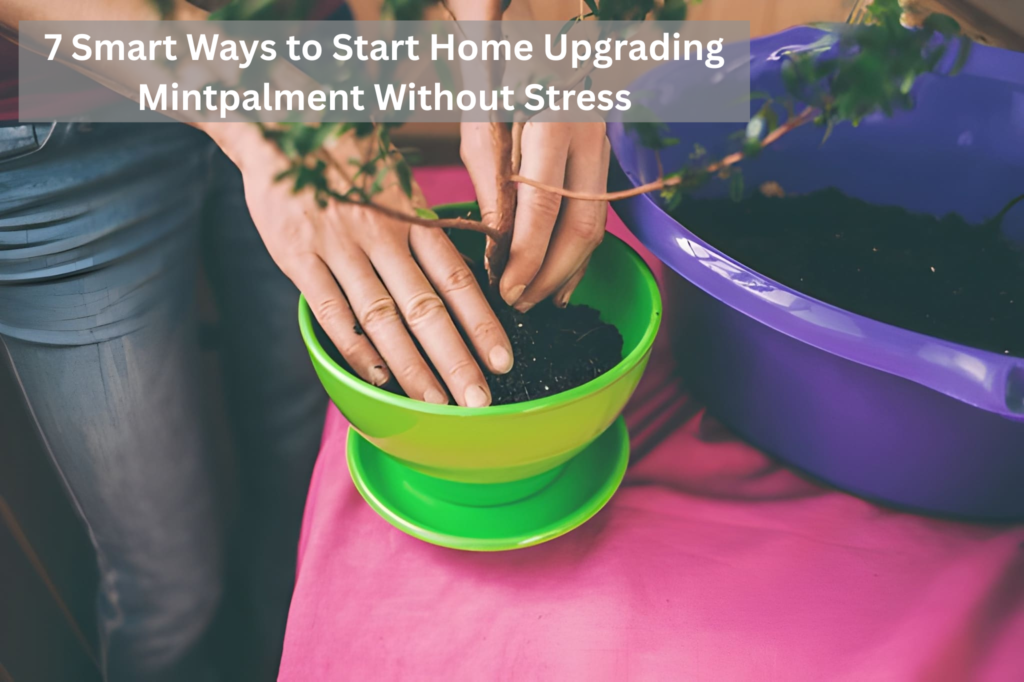 7 Smart Ways to Start Home Upgrading Mintpalment Without Stress