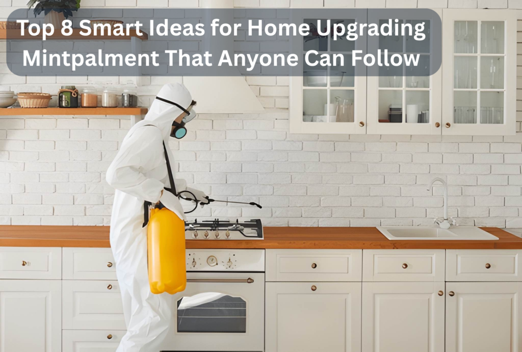 Top 8 Smart Ideas for Home Upgrading Mintpalment That Anyone Can Follow