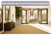 What interior doors are trending Mintpaldecor