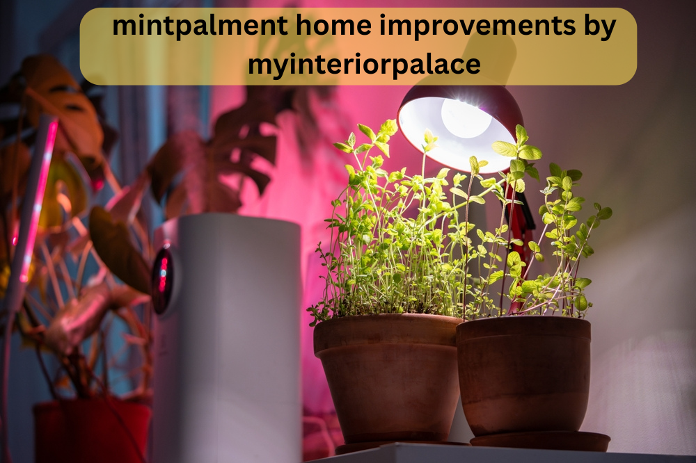 mintpalment home improvements by myinteriorpalace