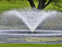 Pond Fountain Float Buying Guide: Size, Durability, and Compatibility