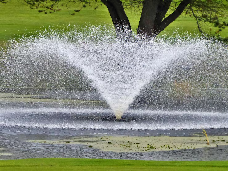Fountain