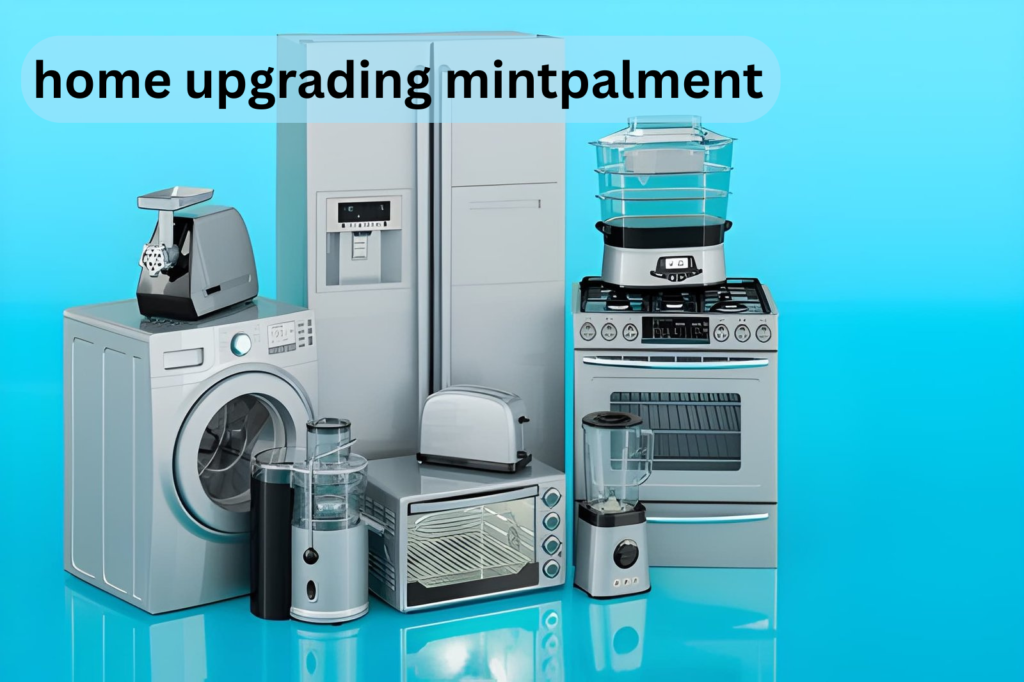 home upgrades mintpalment