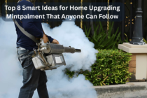 Top 8 Smart Ideas for Home Upgrading Mintpalment That Anyone Can Follow