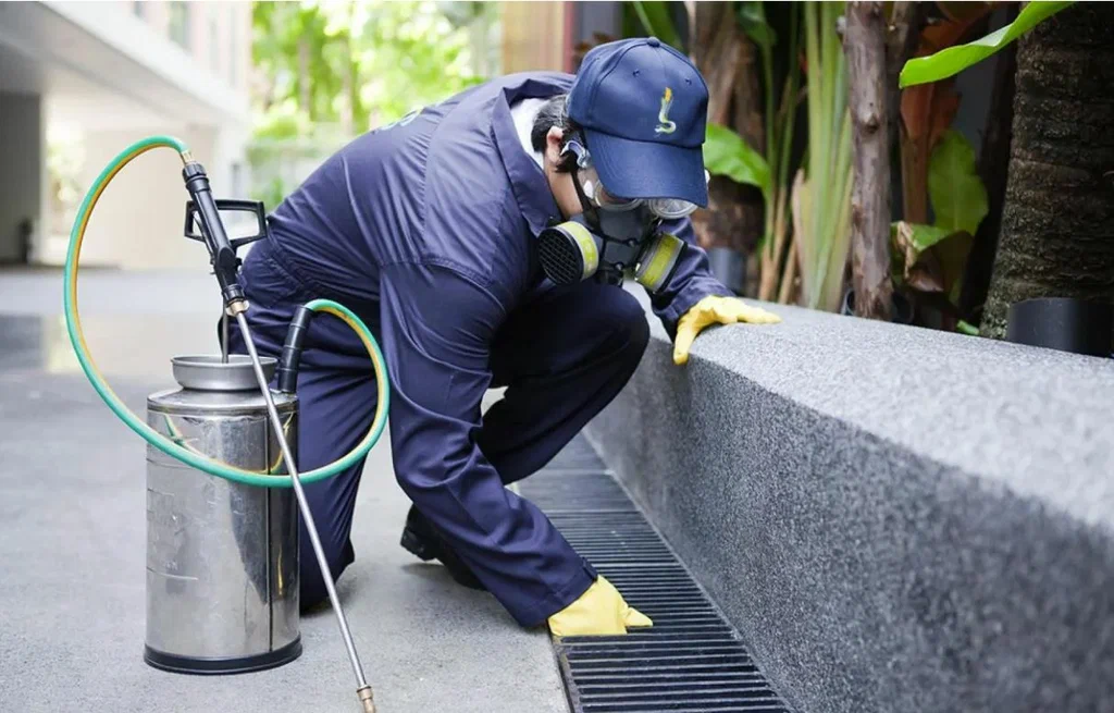 Pest Control
